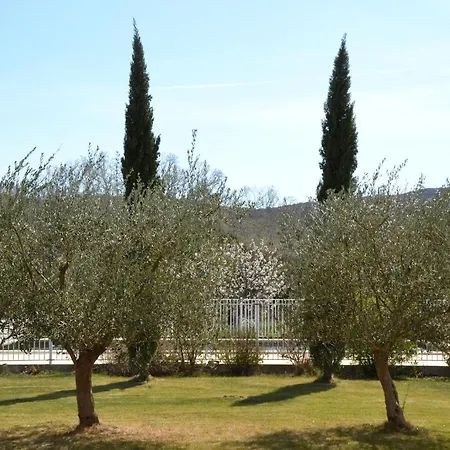 Au Temps Des Cerises Bed & Breakfast Remoulins